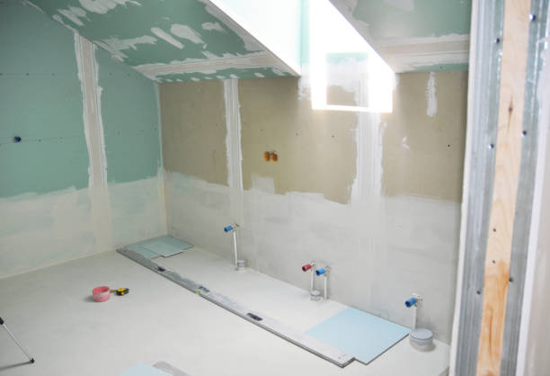 Best Asbestos and Lead Testing During Mold Inspection  in Camp Point, IL