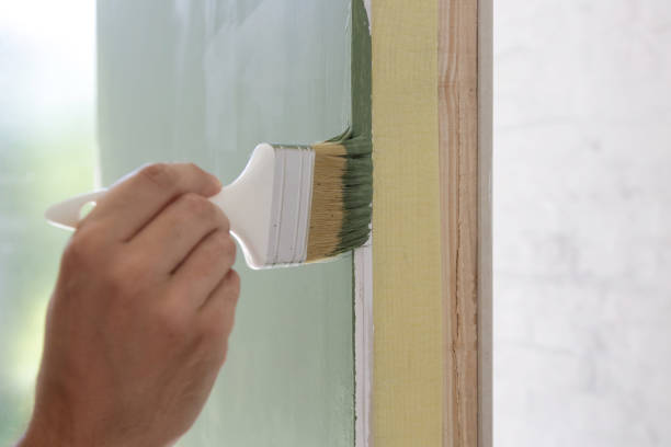 Best Water Damage & Mold Remediation  in Camp Point, IL