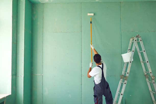 Best Biohazard Mold Removal  in Camp Point, IL