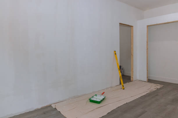 Best Asbestos and Lead Testing During Mold Inspection  in Camp Point, IL