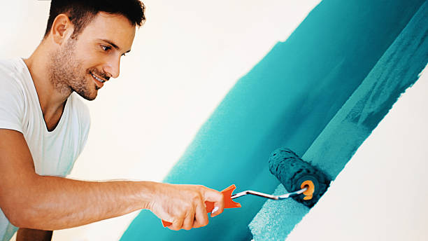 Best Comprehensive Air Testing for Mold Contaminants  in Camp Point, IL